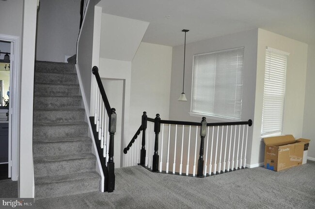 Building Photo - 20464 Cool Fern Square