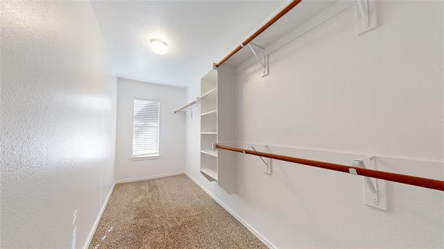Building Photo - 1329 Silver Maple Ln