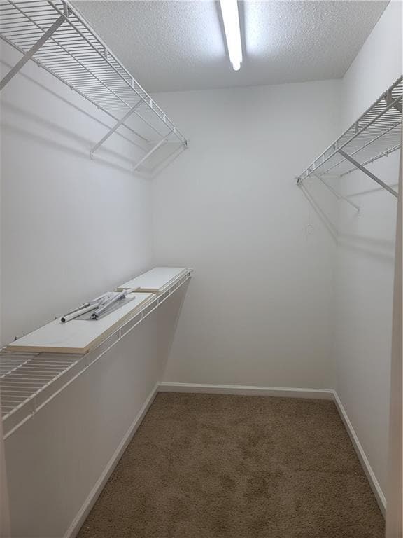 Building Photo - 6105 Pattingham Dr