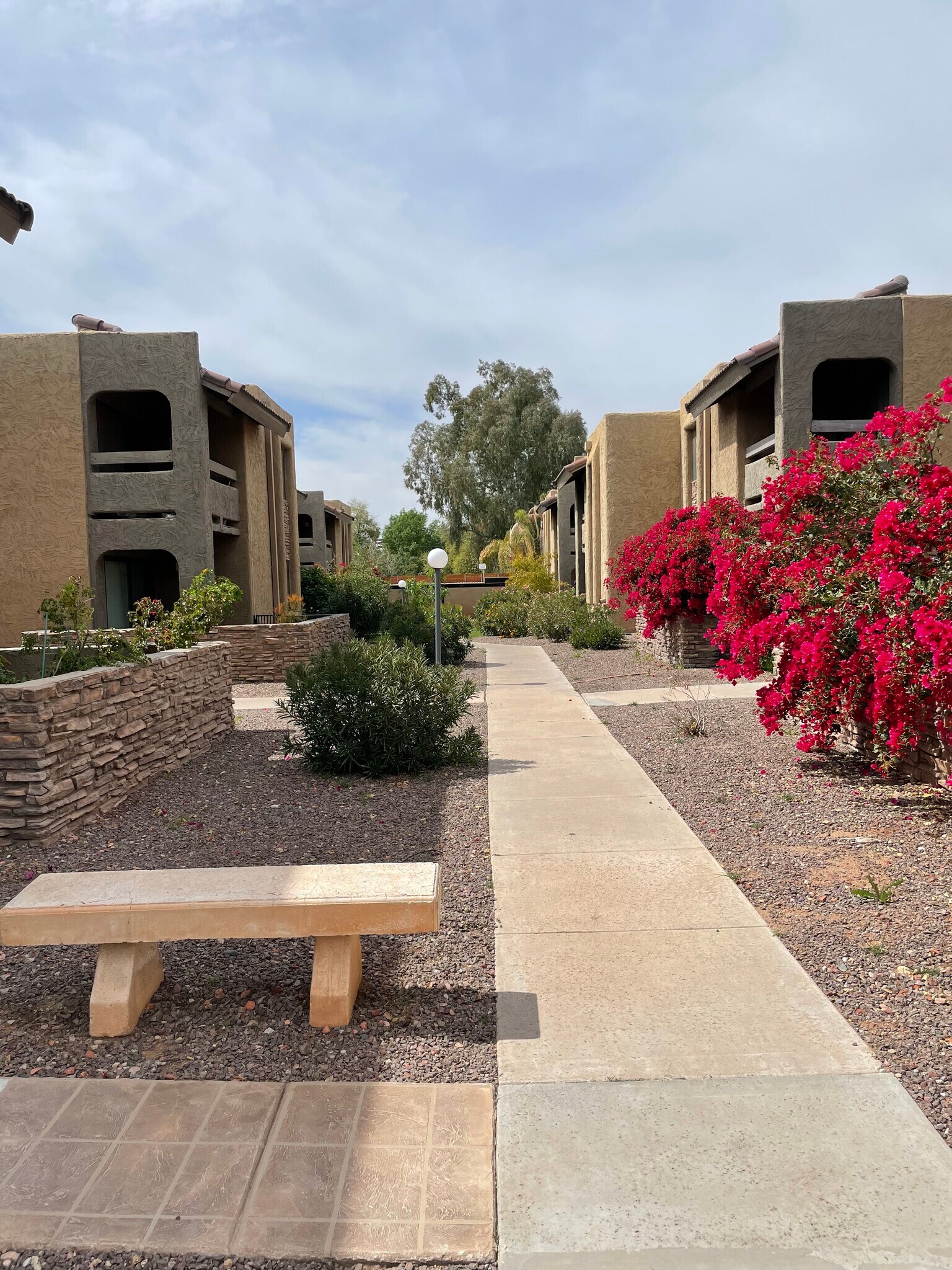 Building Photo - 3825 E Camelback Rd