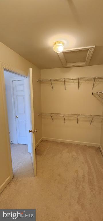 Building Photo - 23812 Burdette Forest Rd