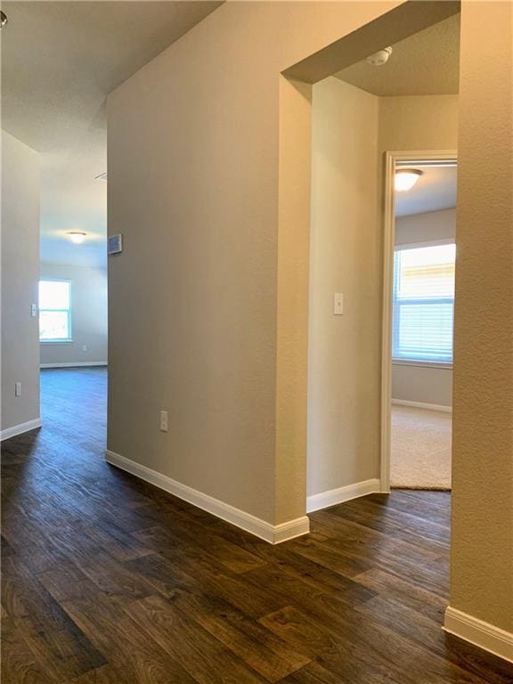 Building Photo - 3323 Brywood Dr