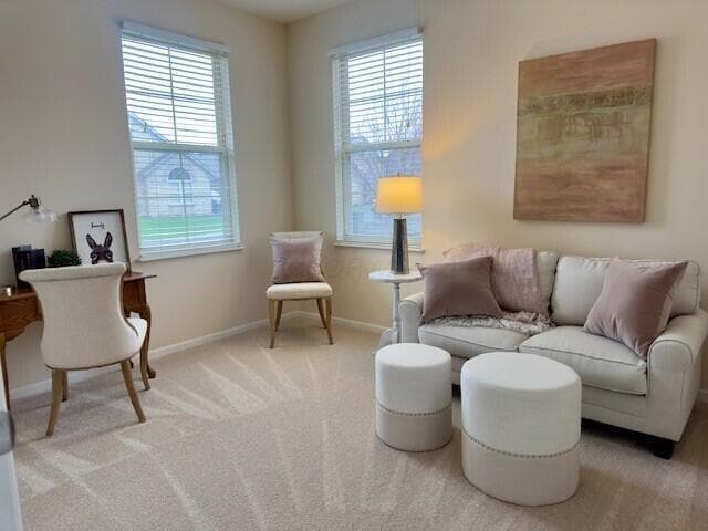 Building Photo - 4262 Bridgelane Pl