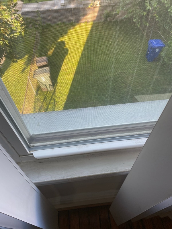 Building Photo - 3120 Windsor Ave