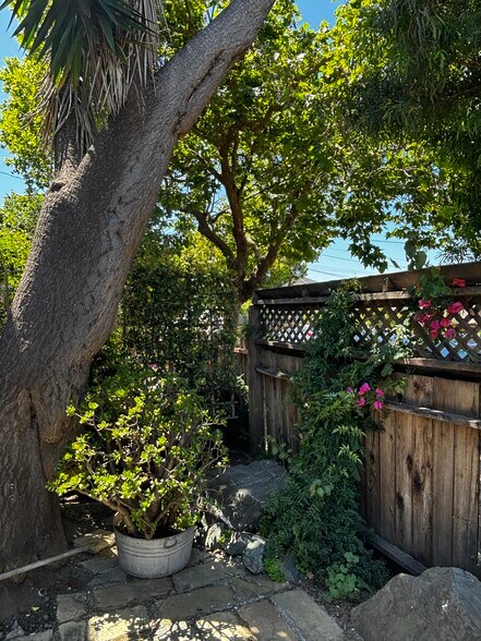 Front yard - 2411 8th St