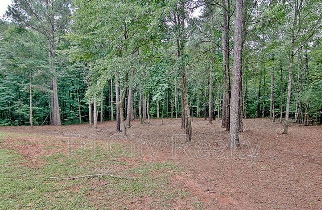 Building Photo - 69 Meadows Creek Ln