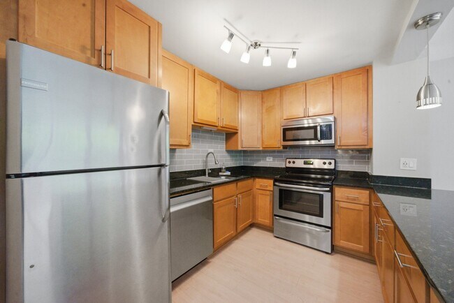 Building Photo - 1255 N Sandburg Terrace