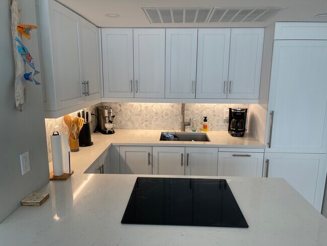 Building Photo - 209 N Fort Lauderdale Beach Blvd