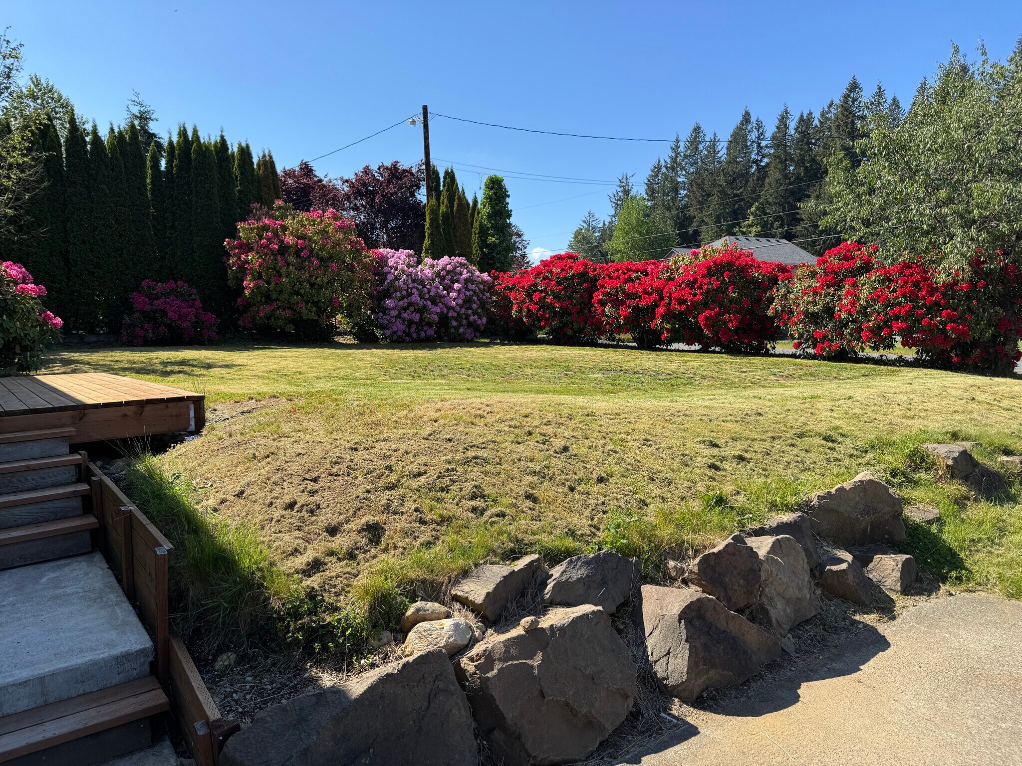 Front yard from driveway facing street - 13016 16th St NE