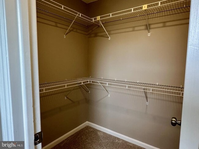 Building Photo - 310 Fleece Flower Dr