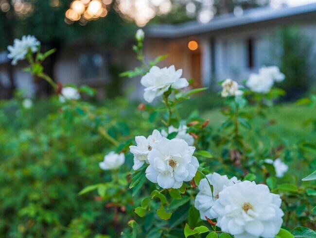Building Photo - Beautiful Tarzana Rental!