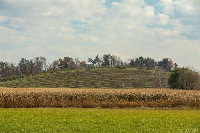 Building Photo - 460 Lasher Rd