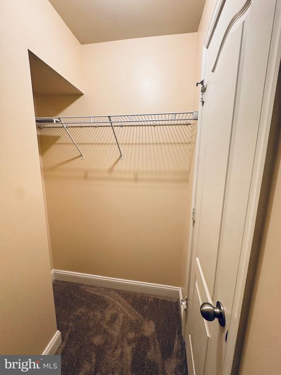 Building Photo - 4436 Potomac Highlands Cir