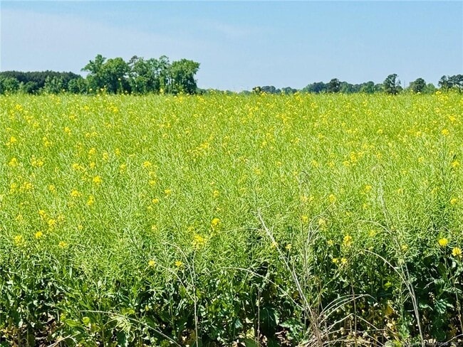Building Photo - 1992 Henry Hammond Rd