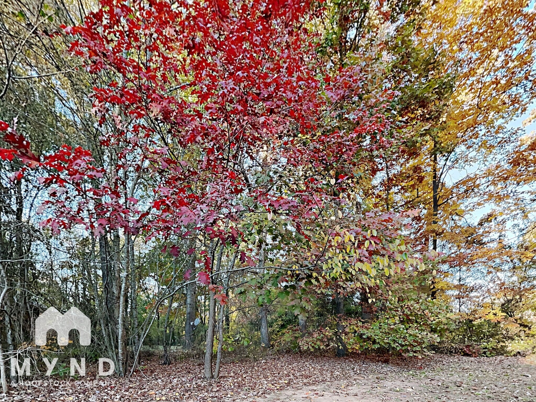 Building Photo - 1334 Reid St