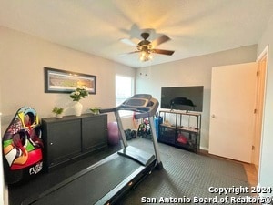 Building Photo - 3611 Alonzo Fields