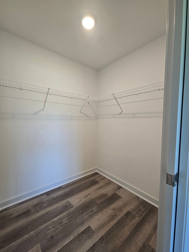 Building Photo - Brand new unfurnished 2 bedroom, 1 bath du...