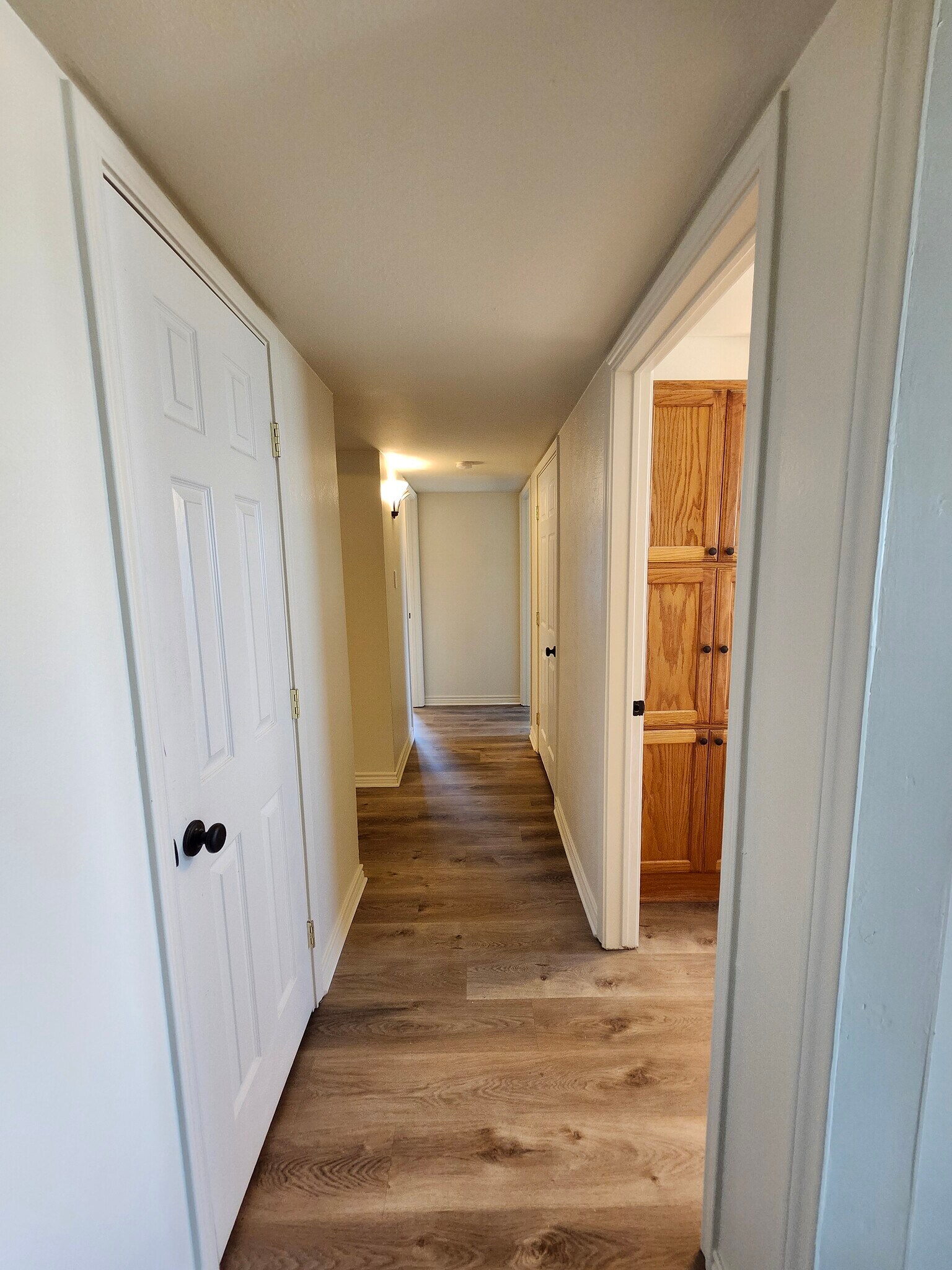 Hallway w/ 2 large closets - 1602 Ravenwood Dr