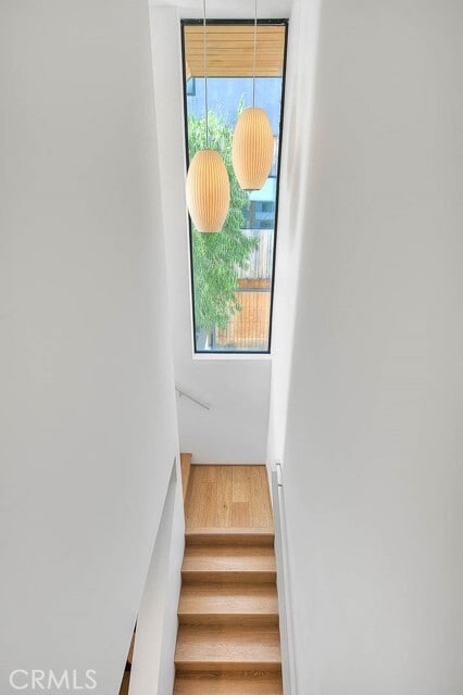 Building Photo - 1825 N Kenmore Ave