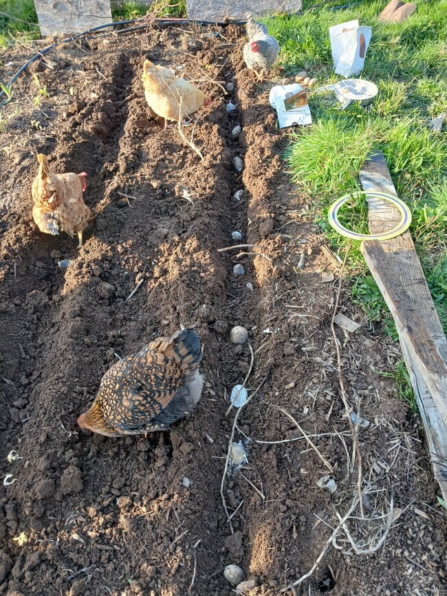 Building Photo - Farm House A