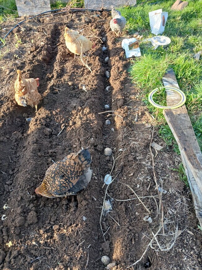 Building Photo - Farm House