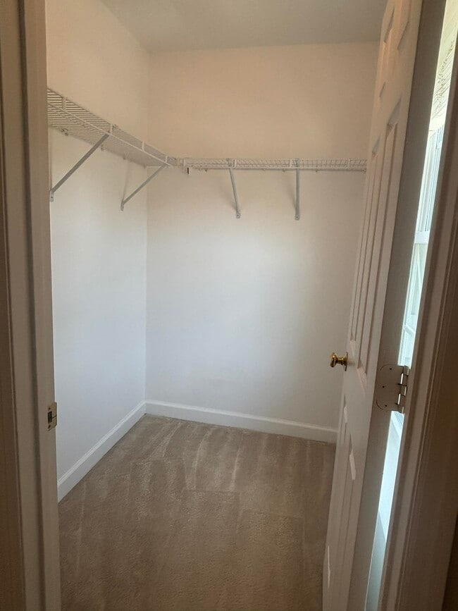 Building Photo - 4020 Colleton Ct