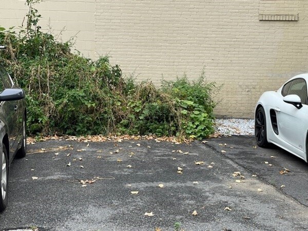 Building Photo - 95 Allston St