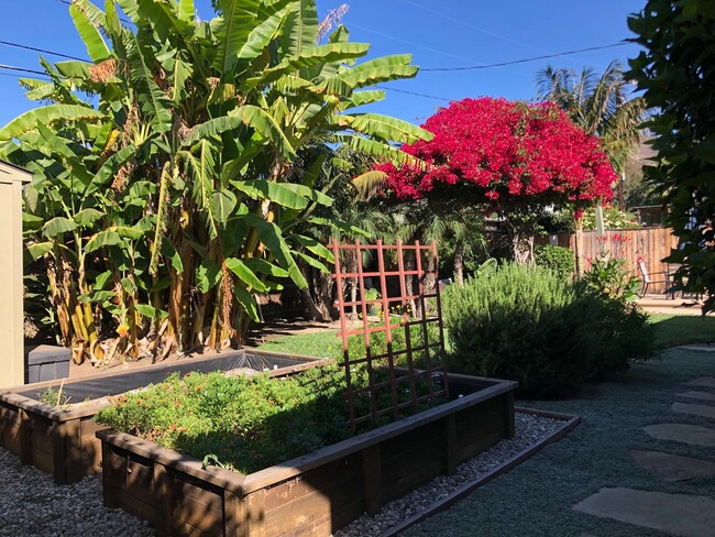 Building Photo - Tranquil Paradise Midtown Ventura