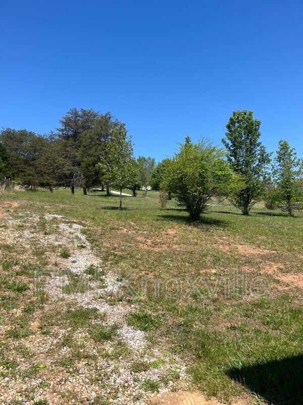 Building Photo - 8821 Trout Rd