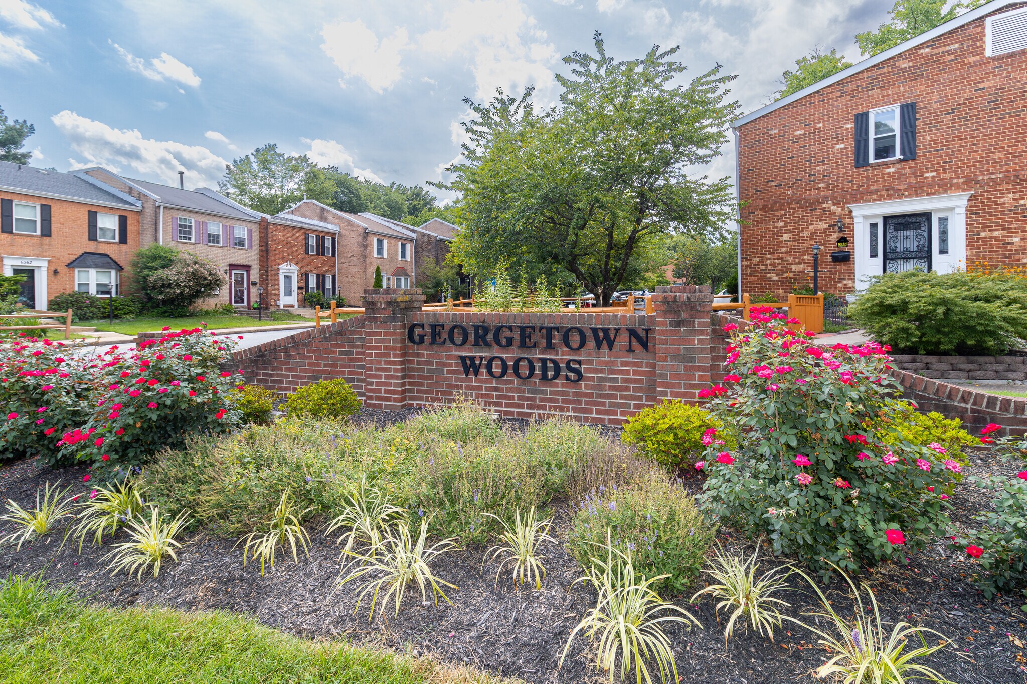 Building Photo - 6558 Gildar St