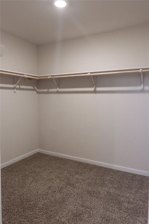 Building Photo - 401 Abbey Ln