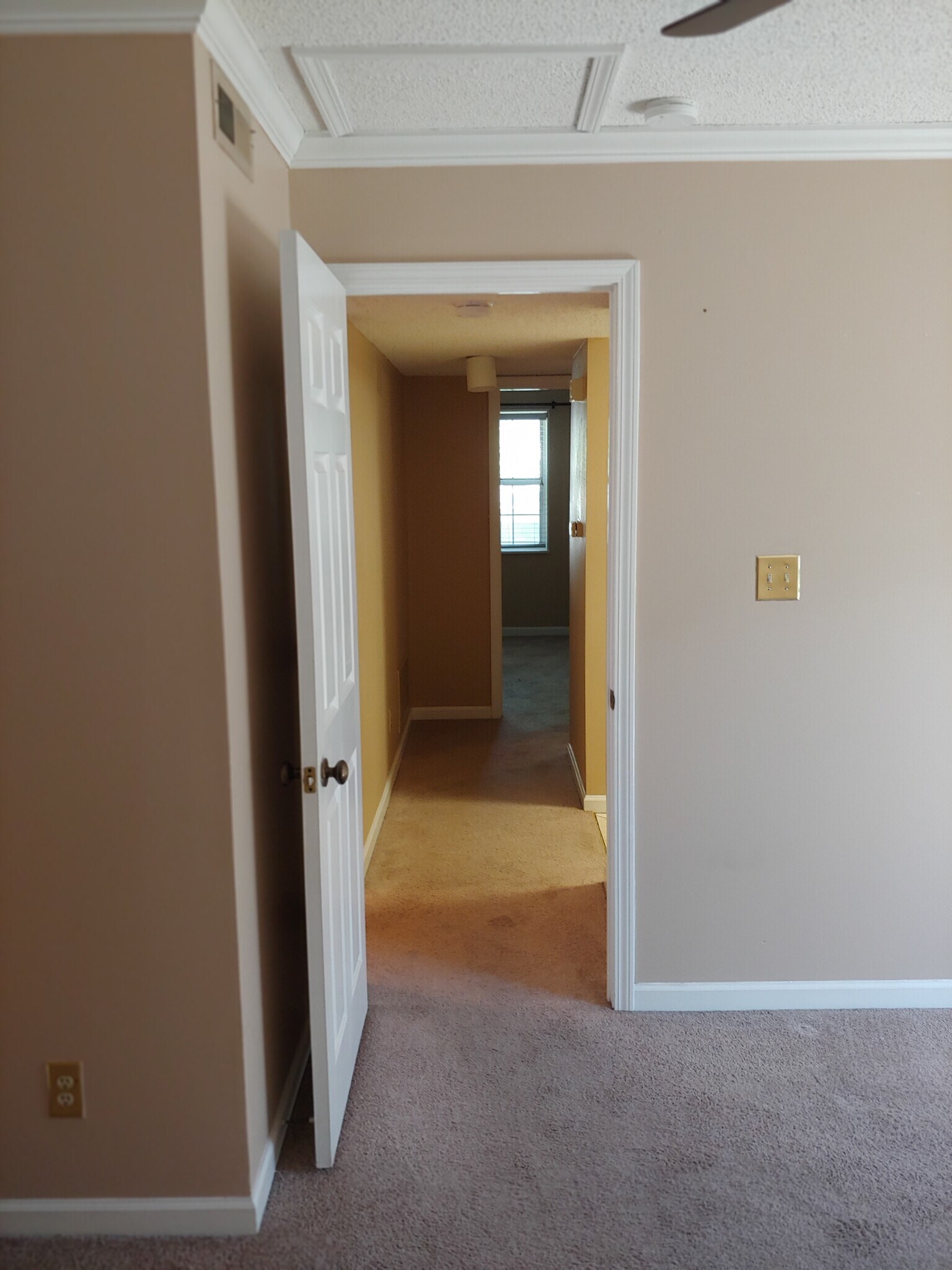 Building Photo - 1451 Thrush Plz