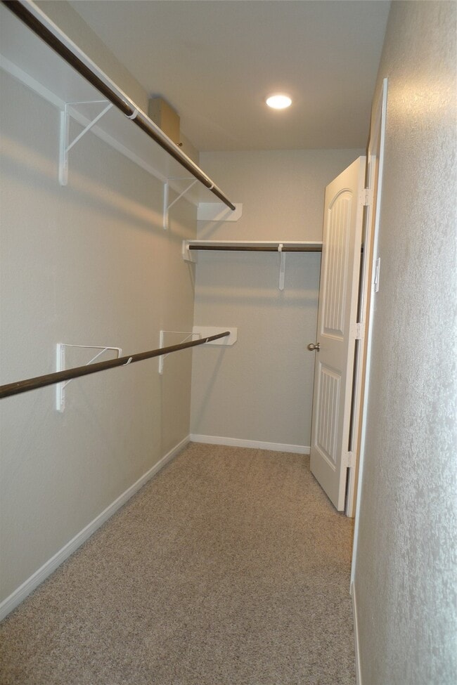 Building Photo - 3003 Lightles Manor Ct
