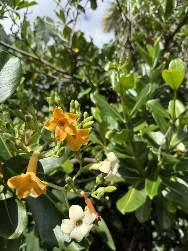 Building Photo - 46-305-305 Hoauna St