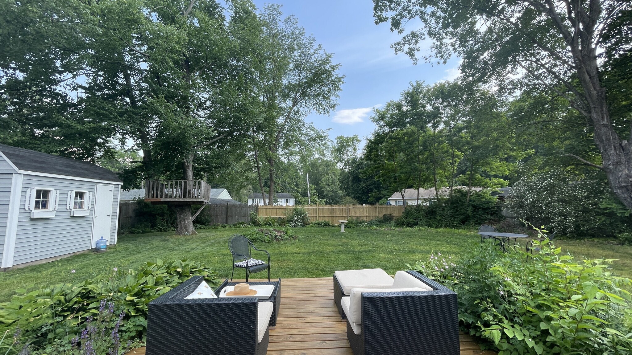 Backyard in summer - 20 Princeton St