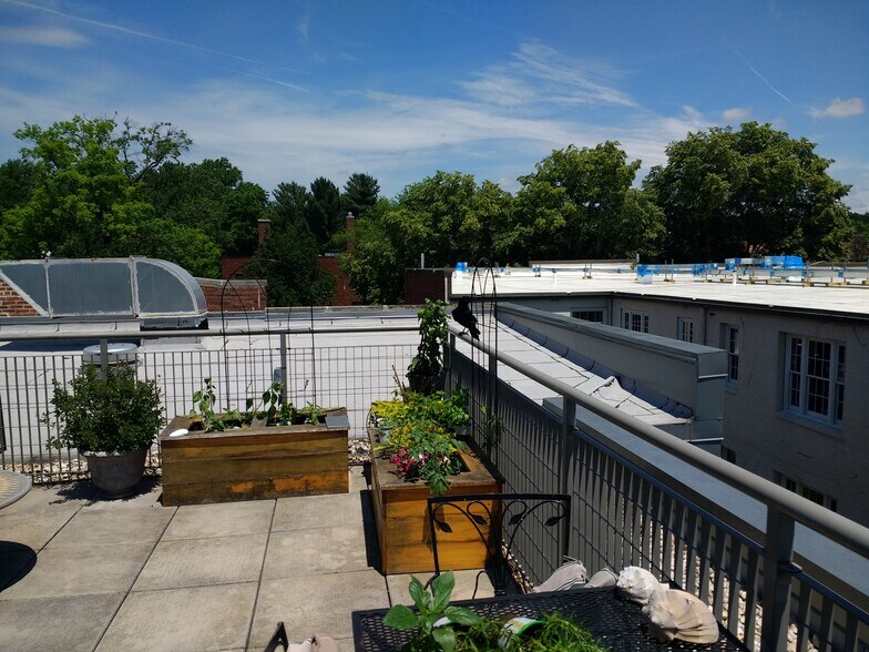 rooftop garden (exclusive to unit) - 2516 Q St NW