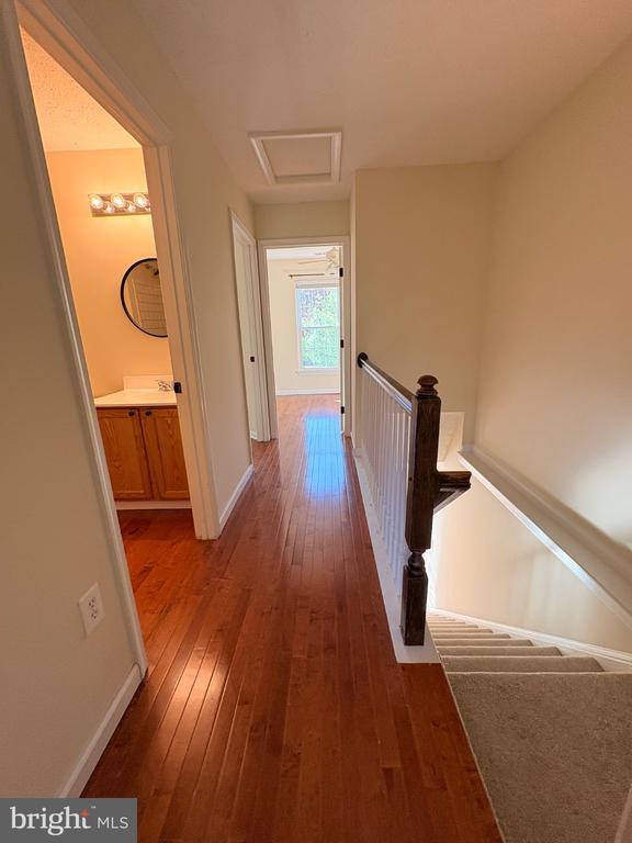 Building Photo - 1703 Bluffs Island Ct