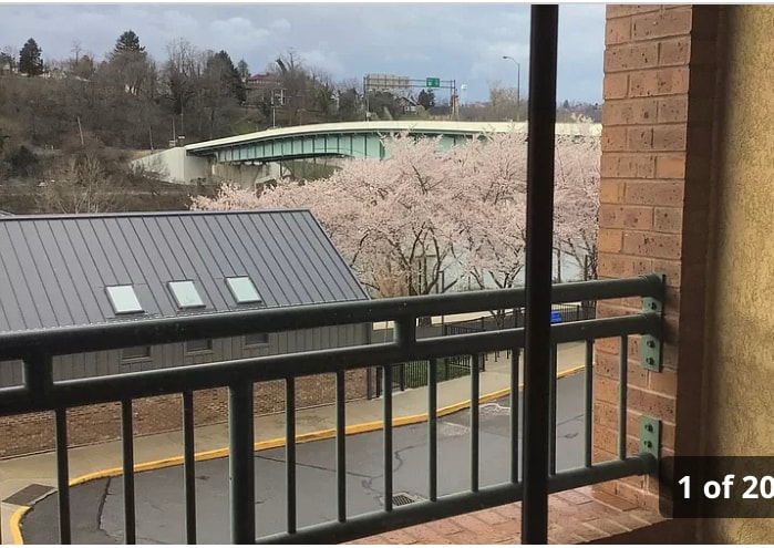 View from balcony - 1117 University Ave