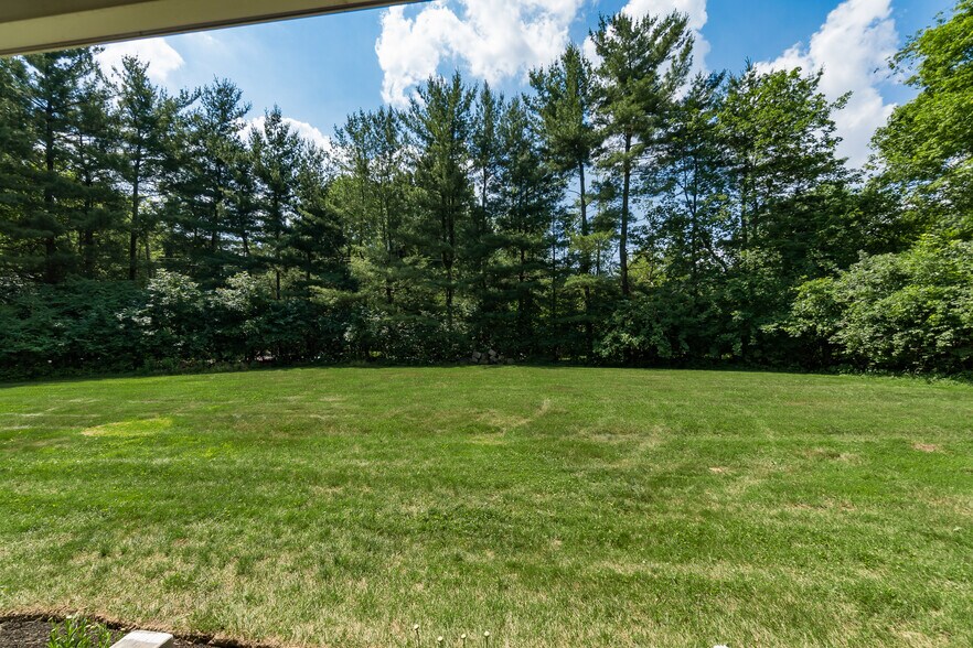 Private backyard - 4397 Limerick Ln