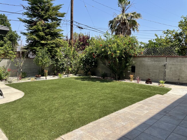 Backyard - 17815 Miranda St