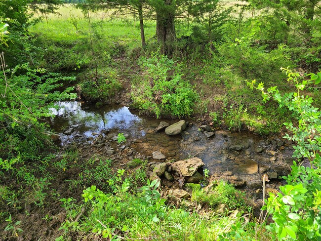 Seasonal Creek - 465875 E 790 Rd