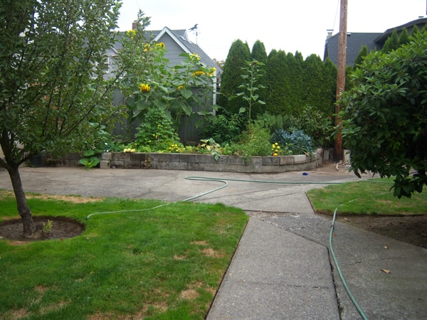 Building Photo - Fully Refreshed Westmoreland 3bd in Plex. ...