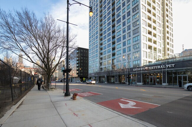 Building Photo - 460 W Chicago Ave