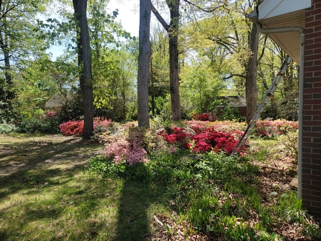 Building Photo - Delightful 3 Bedroom Home for Rent in Henrico