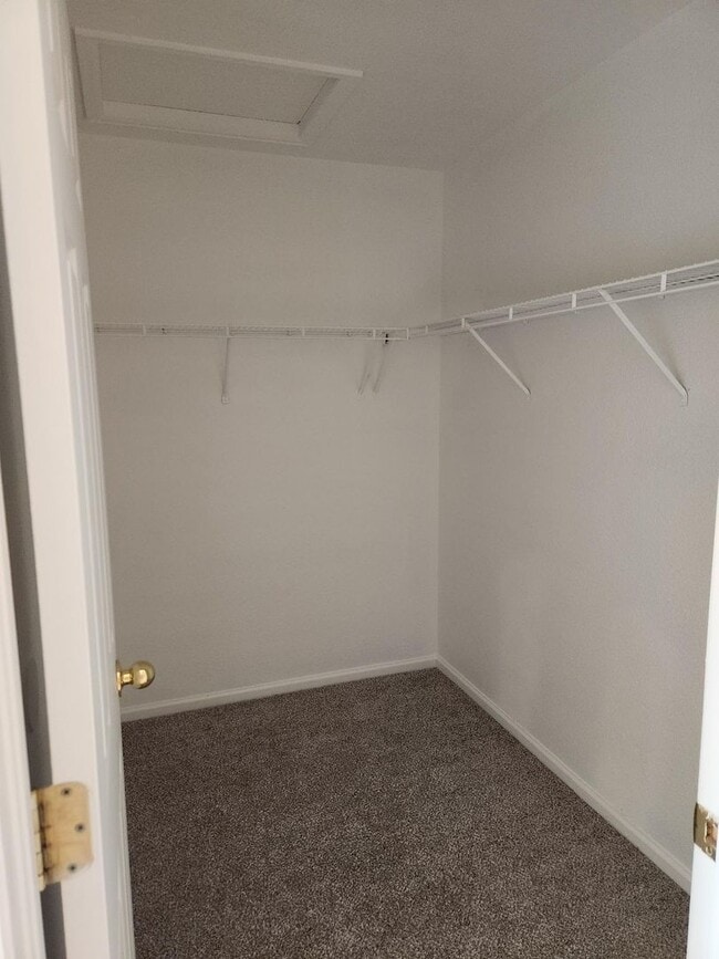 Building Photo - 3 Bedroom 2 full bathrooms in Brighton