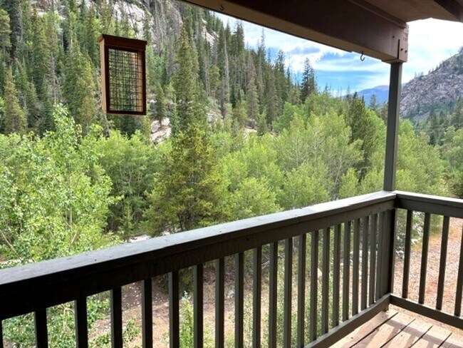 Building Photo - Long Term Rental- Woodbridge 306