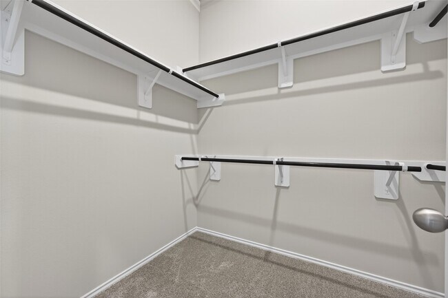 Building Photo - 1011 Shl Crk Trl