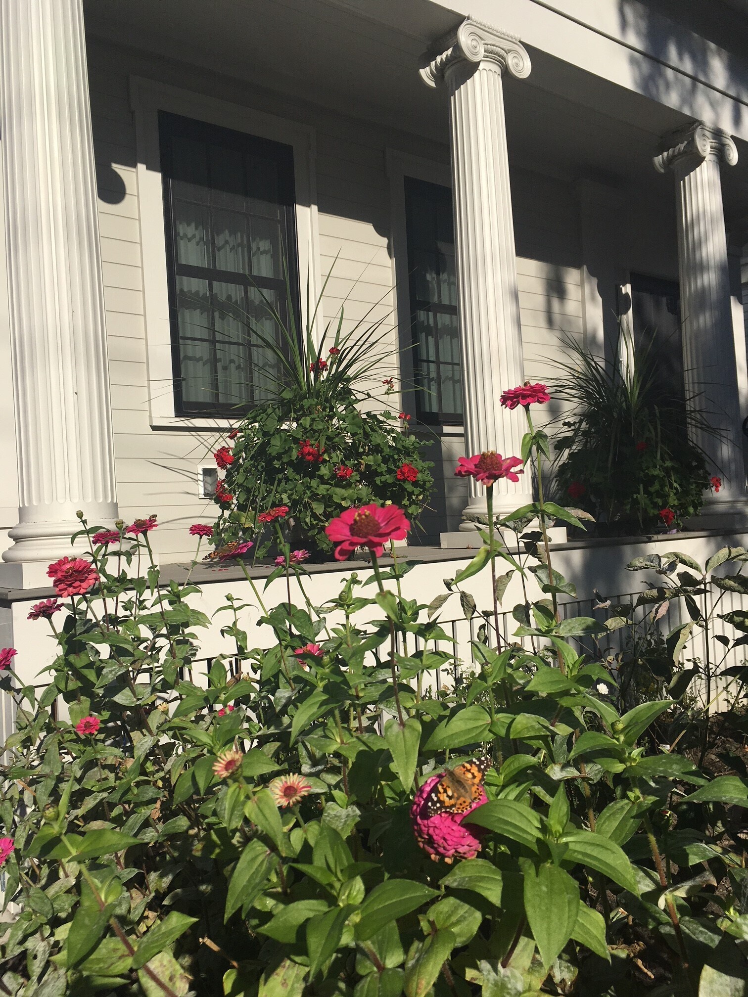 Building Photo - 77 Norfolk St