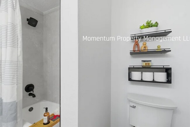 Building Photo - Gorgeous 4 Bedroom in Dunedin! Full Upgraded w/ a Pool!! AVAILABLE FOR IMMEDIATE MOVE IN!!