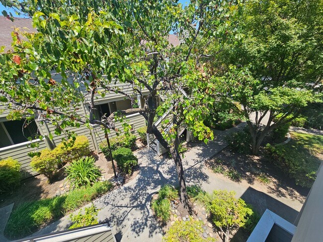 Building Photo - Great Location.... Gorgeous 2 Bedroom 2 Bath End Unit Condo in North San Jose